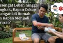 Tersengat Lebah hingga Bengkak, Kapan Cukup Ditangani di Rumah dan Kapan Menjadi Darurat?